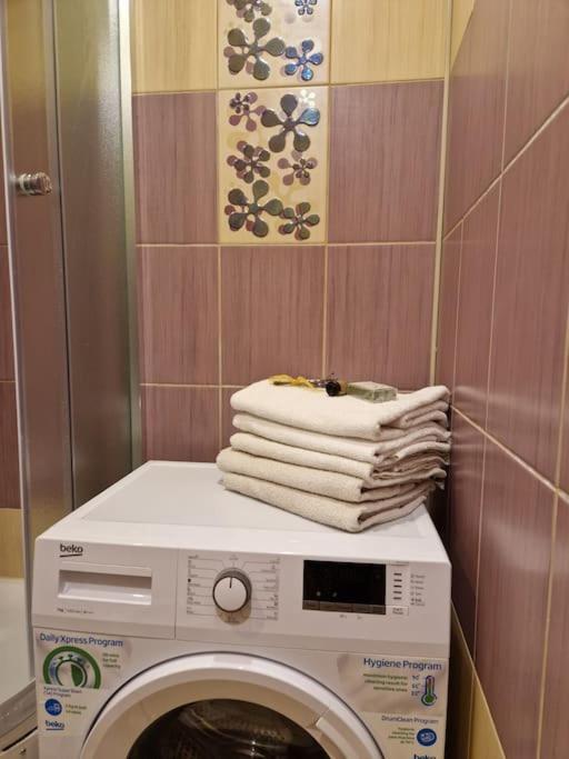 Ilguciema Apartment Riga Dış mekan fotoğraf