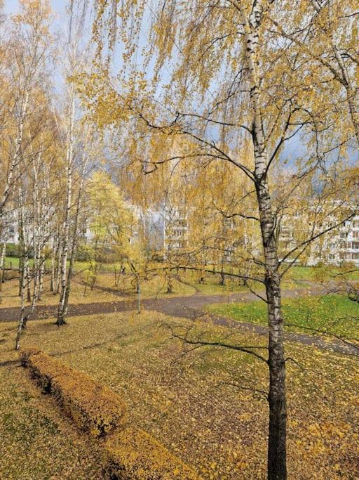 Ilguciema Apartment Riga Dış mekan fotoğraf